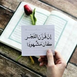 Meet your Posher, Oliea